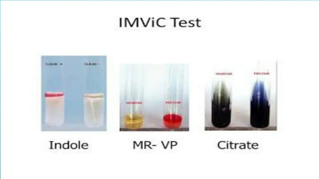 slide10