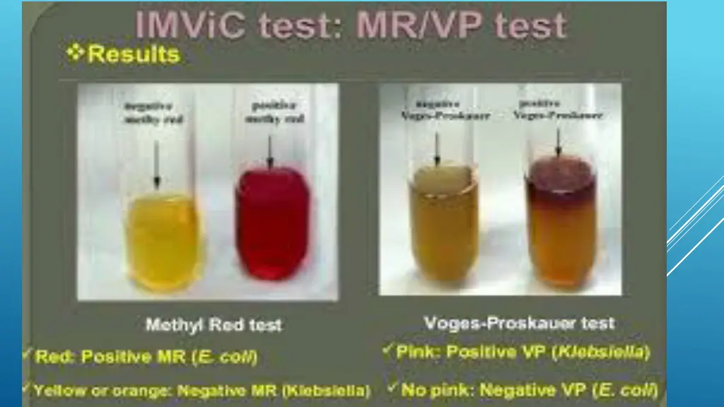 slide13