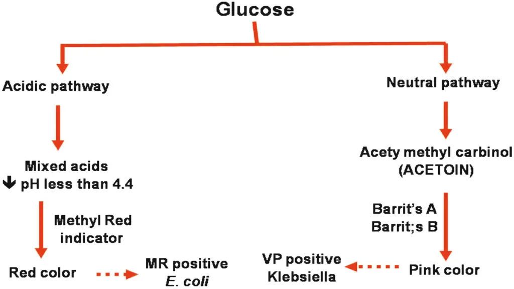slide14