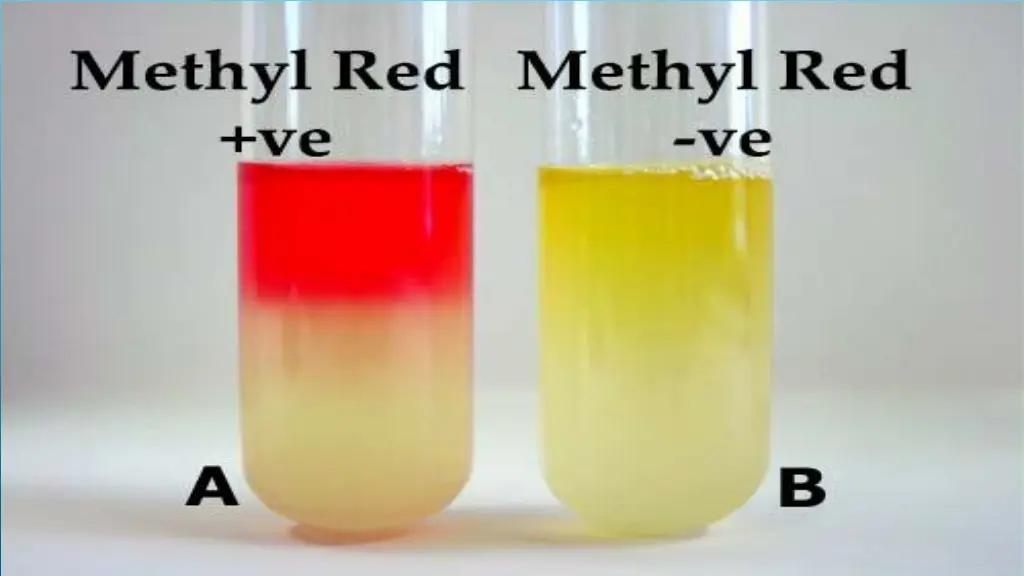 slide15