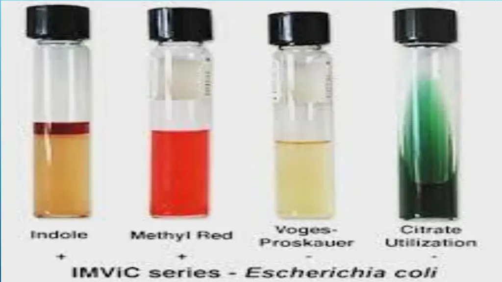 slide19