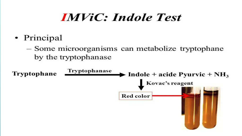 slide9