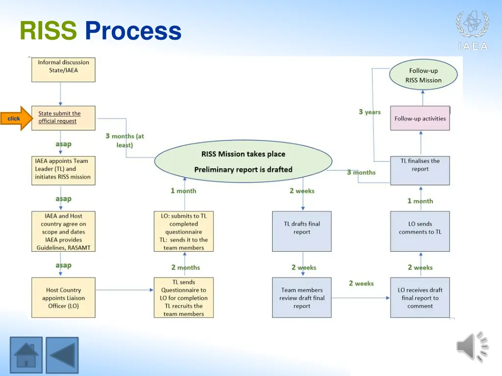 riss process