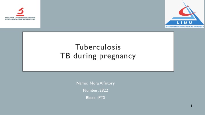 tuberculosis tb during pregnancy