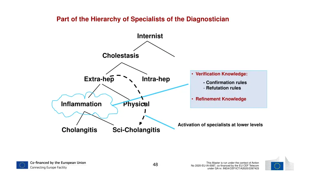part of the hierarchy of specialists