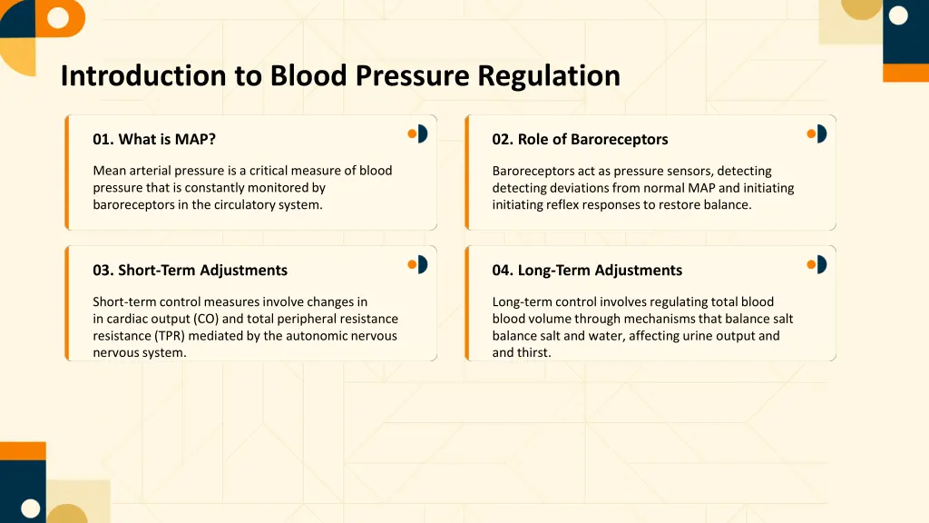 introduction to blood pressure regulation