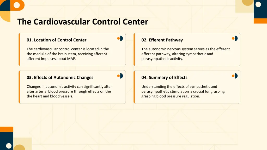 the cardiovascular control center