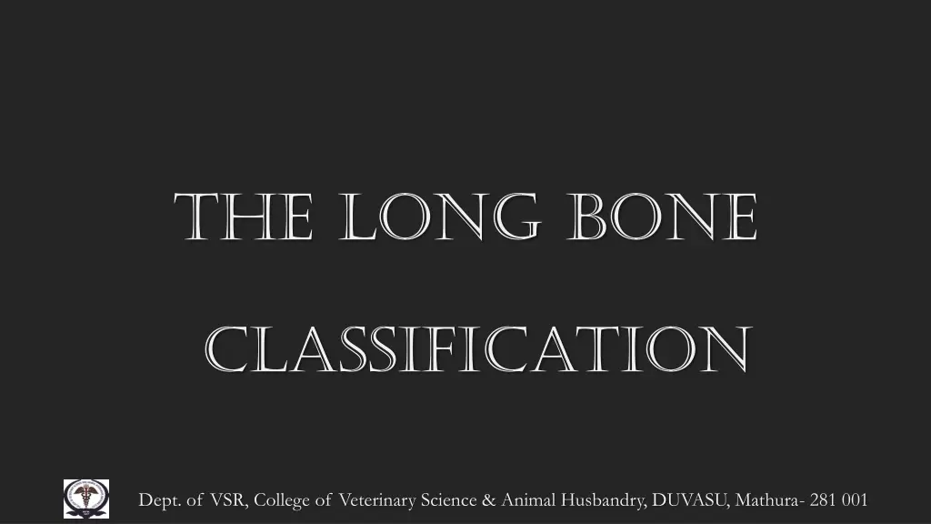 the long bone