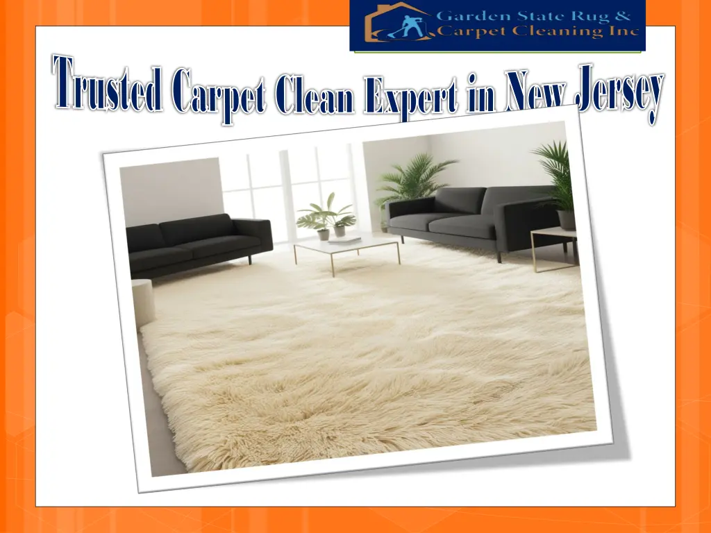 trusted carpet clean expert in new jersey trusted 2