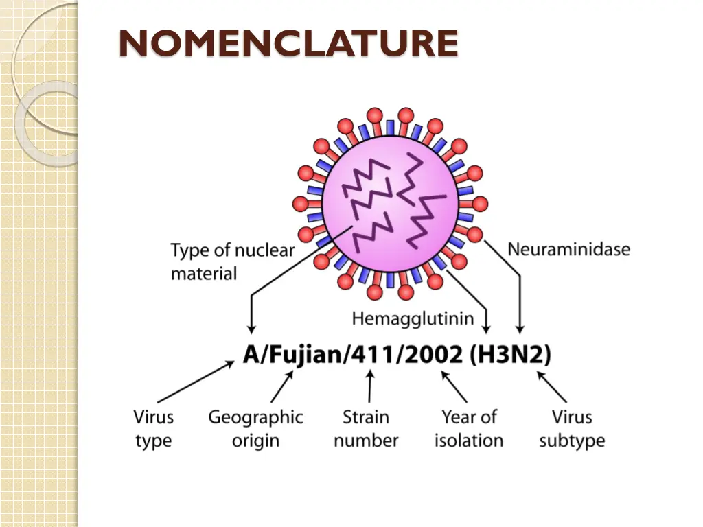 nomenclature