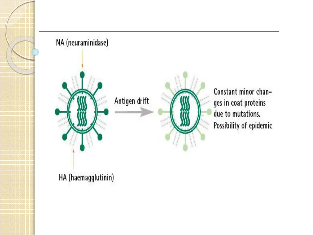 slide10