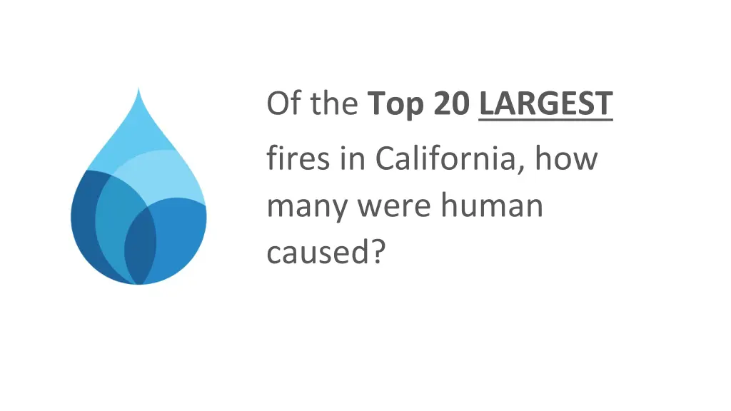 of the top 20 largest