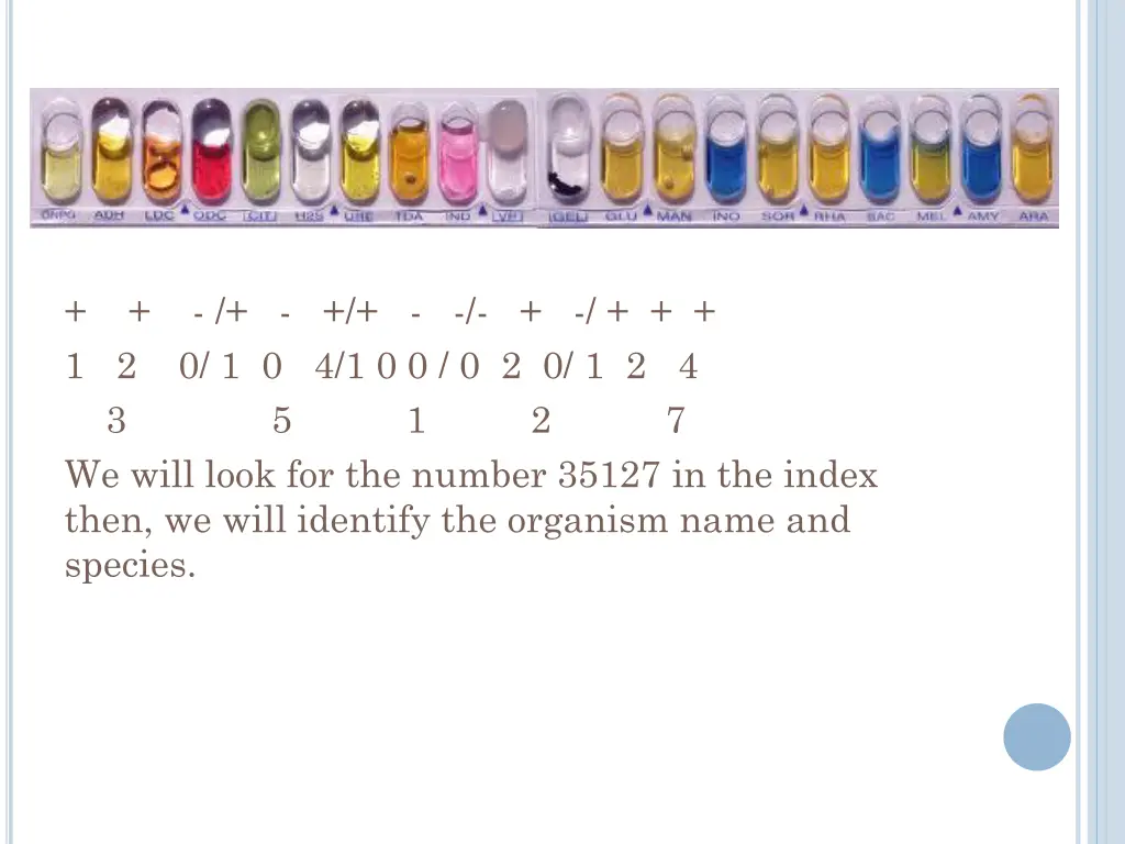 1 2 0 1 0 4 1 0 0 0 2 0 1 2 4 3 5 1 2 7 we will