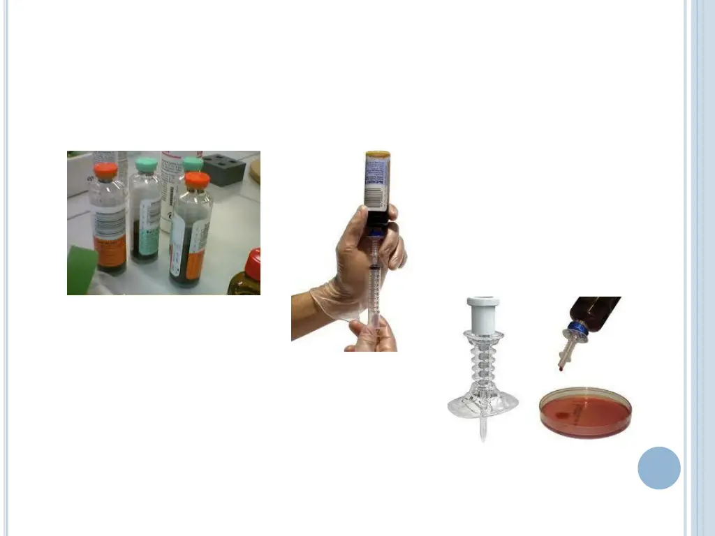 slide11