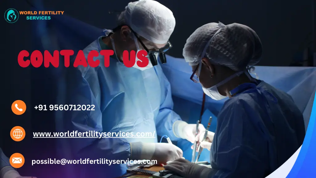 contact us