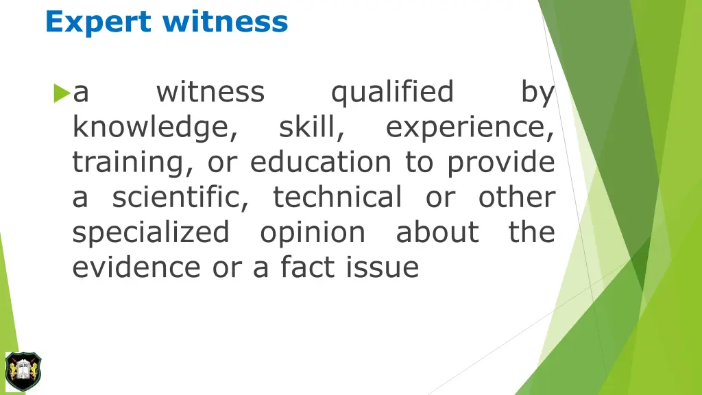 expert witness