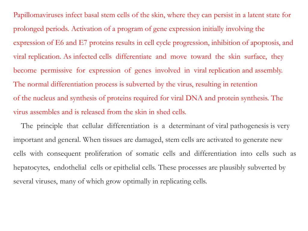 papillomaviruses infect basal stem cells