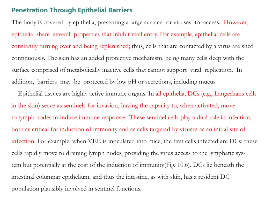 penetration through epithelial barriers