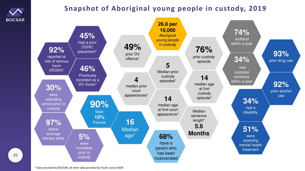 snapshot of aboriginal young people in custody