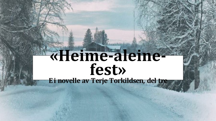heime aleine fest ei novelle av terje torkildsen
