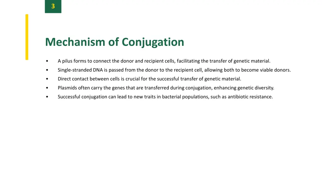 slide5