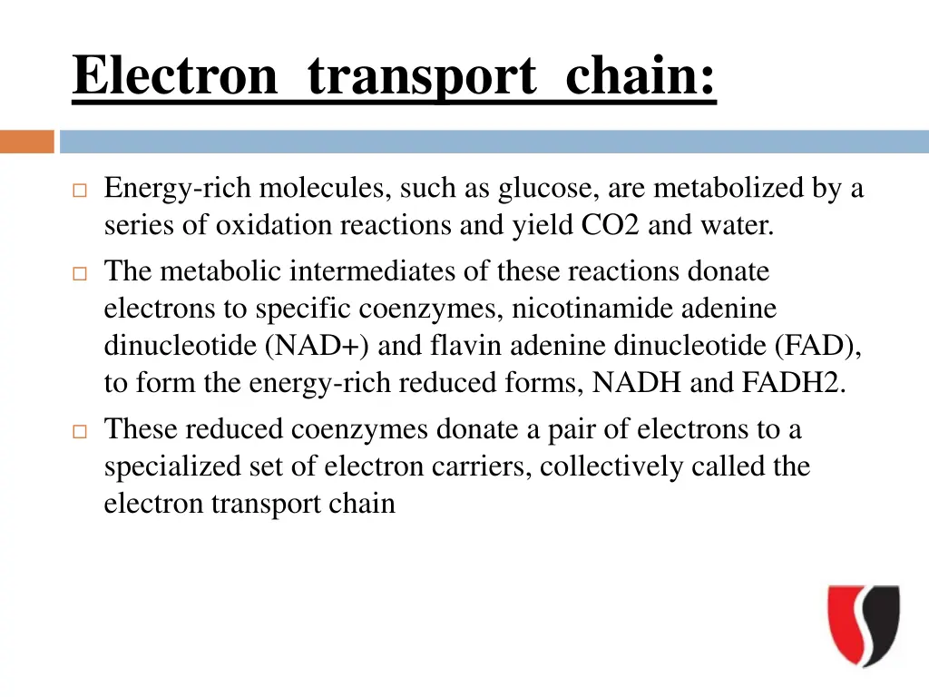 electron transport chain 1