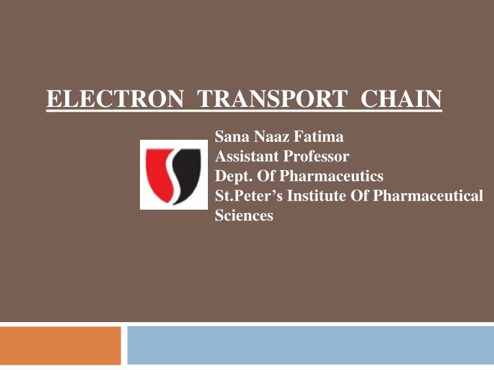 electron transport chain