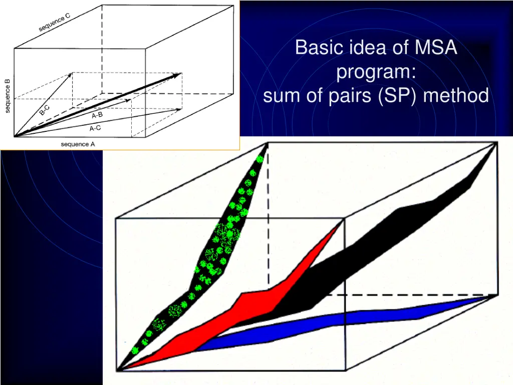 basic idea of msa program sum of pairs sp method
