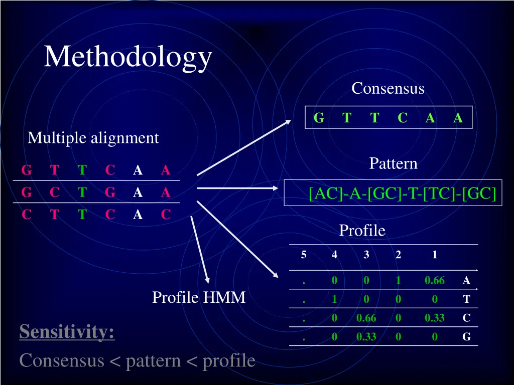 methodology