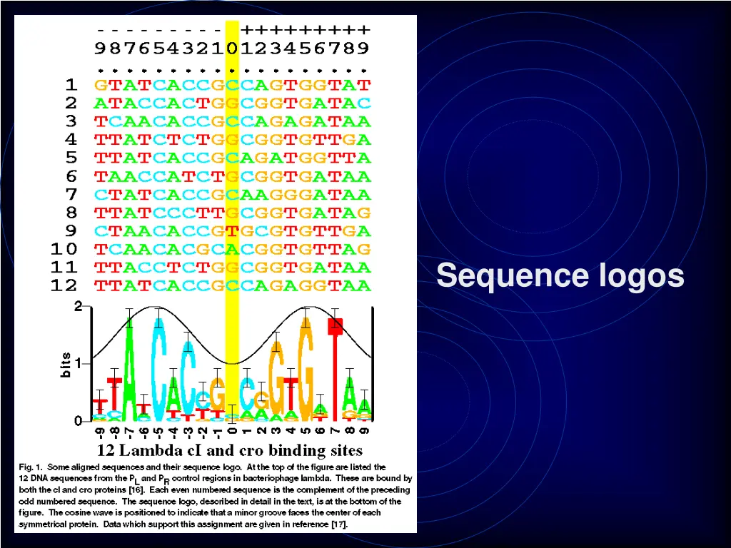 sequence logos