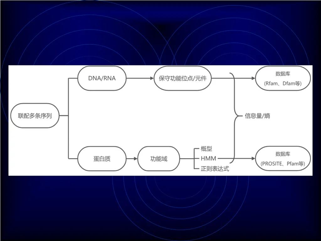 slide2