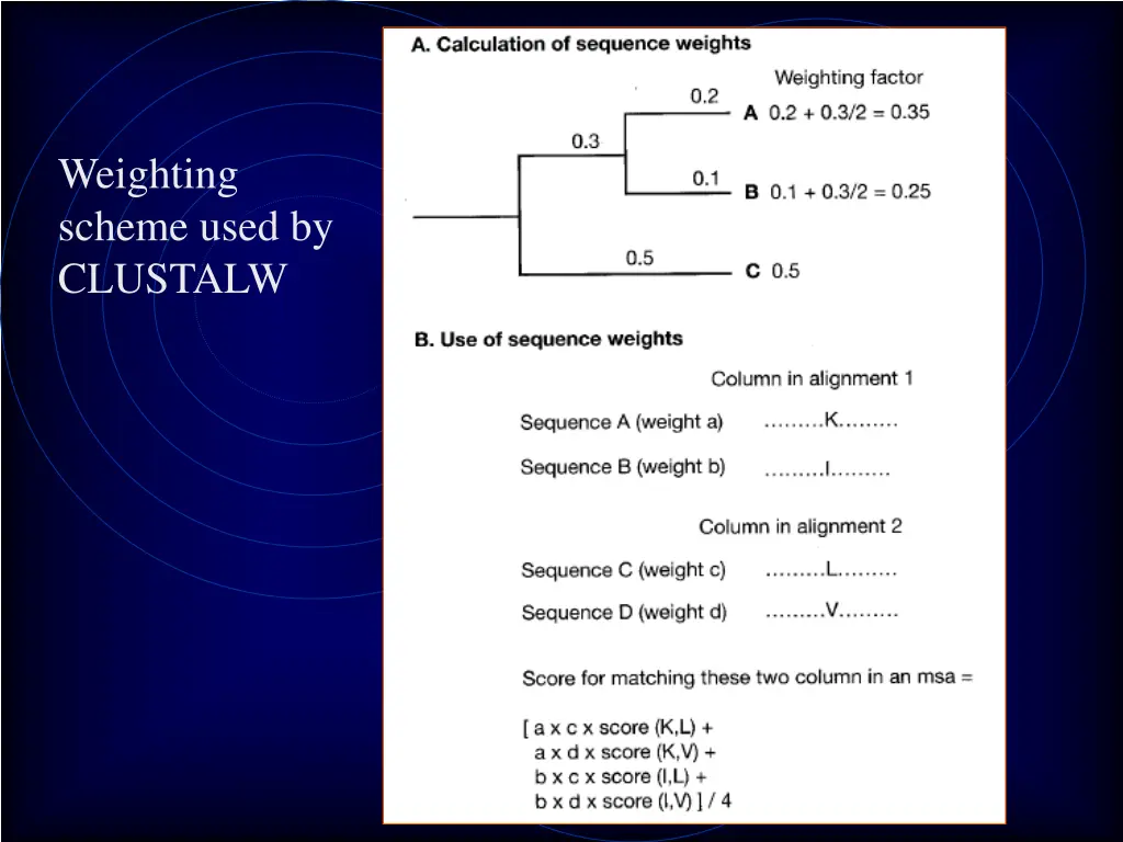weighting scheme used by clustalw