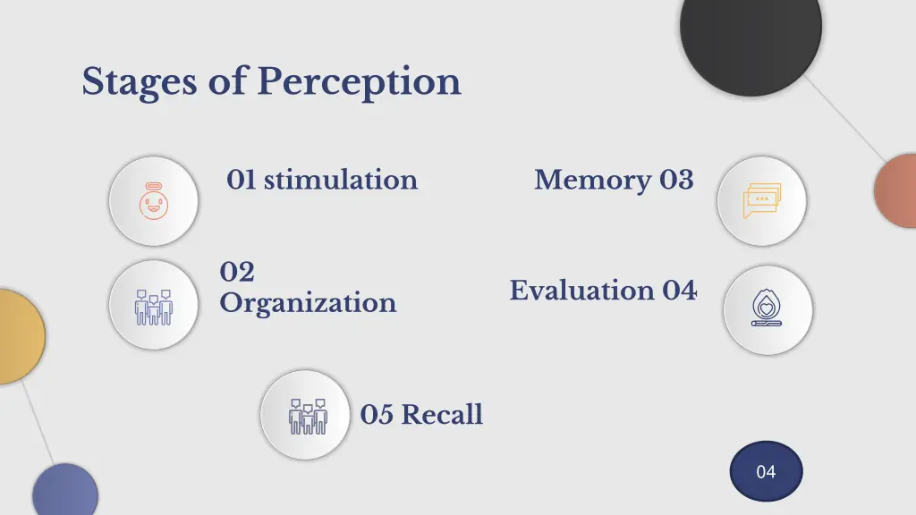 stages of perception