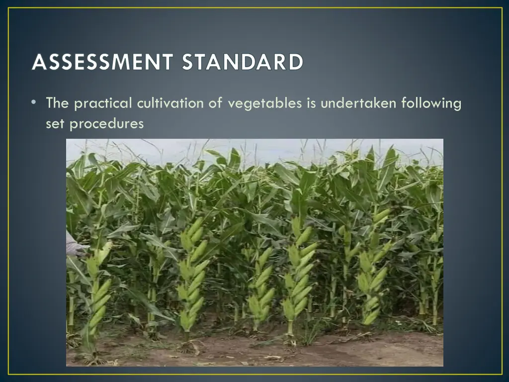 assessment standard