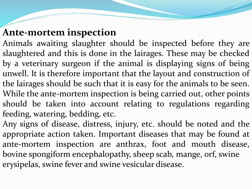 ante mortem inspection animals awaiting slaughter