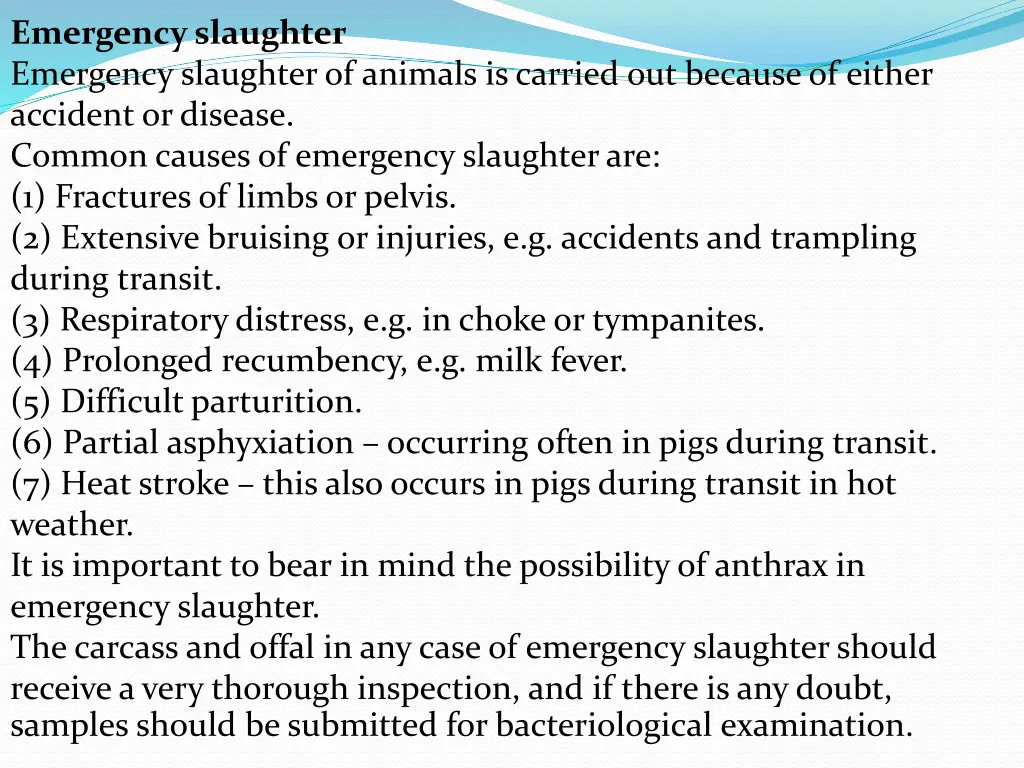 emergency slaughter emergency slaughter