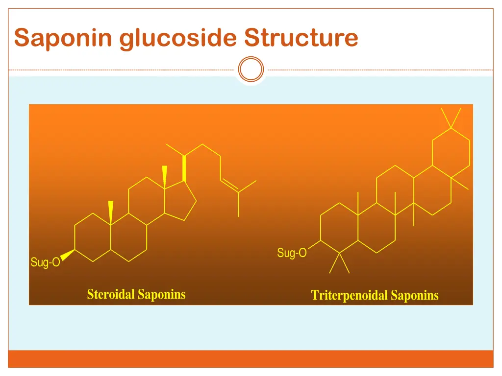 saponin glucoside structure