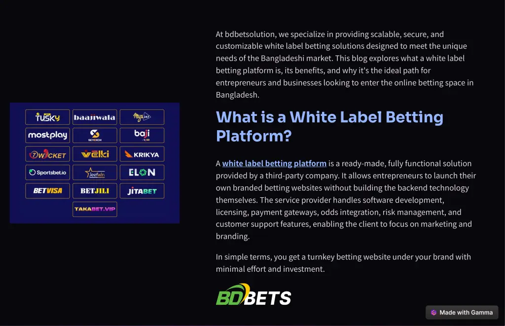 at bdbetsolution we specialize in providing