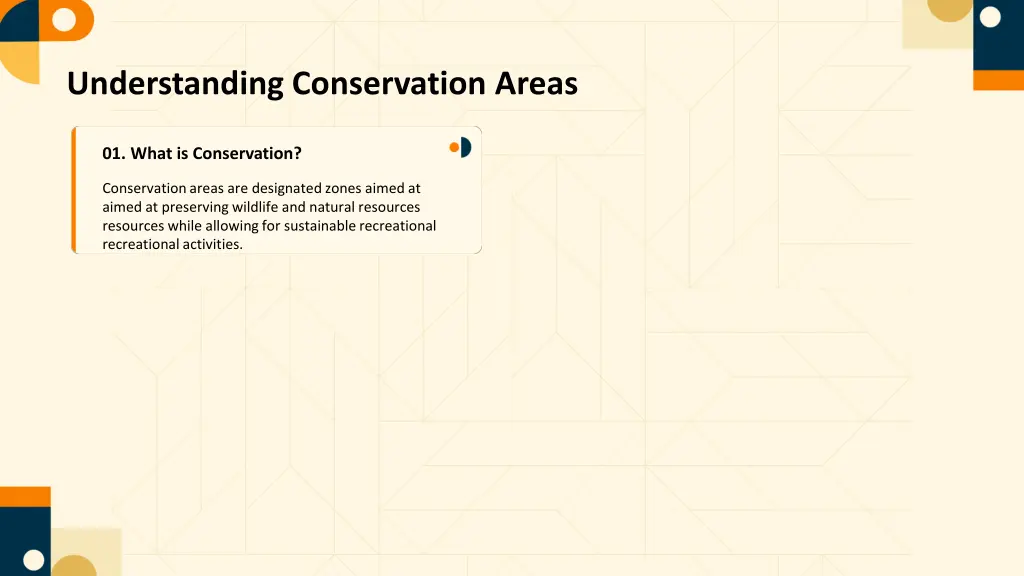 understanding conservation areas