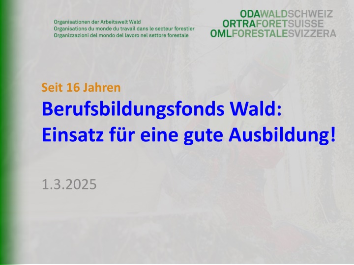 seit 16 jahren berufsbildungsfonds wald einsatz
