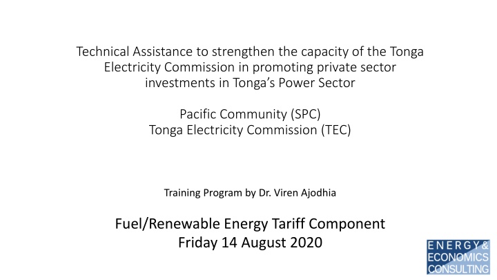 technical assistance to strengthen the capacity