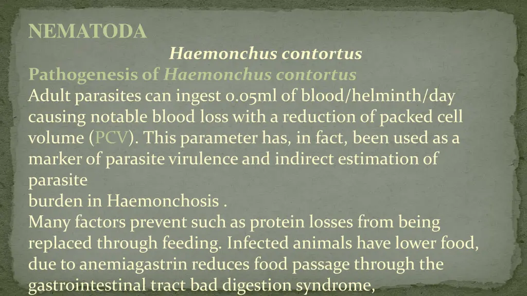 nematoda 1