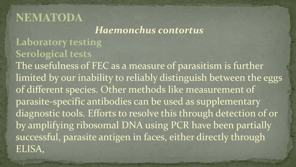 nematoda 11