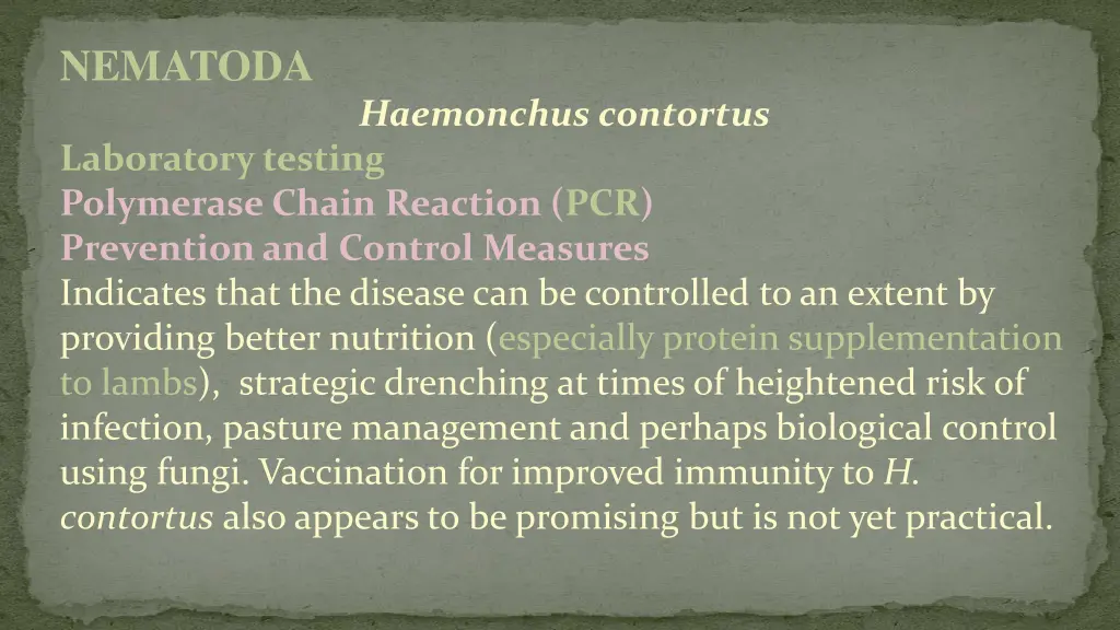nematoda 14