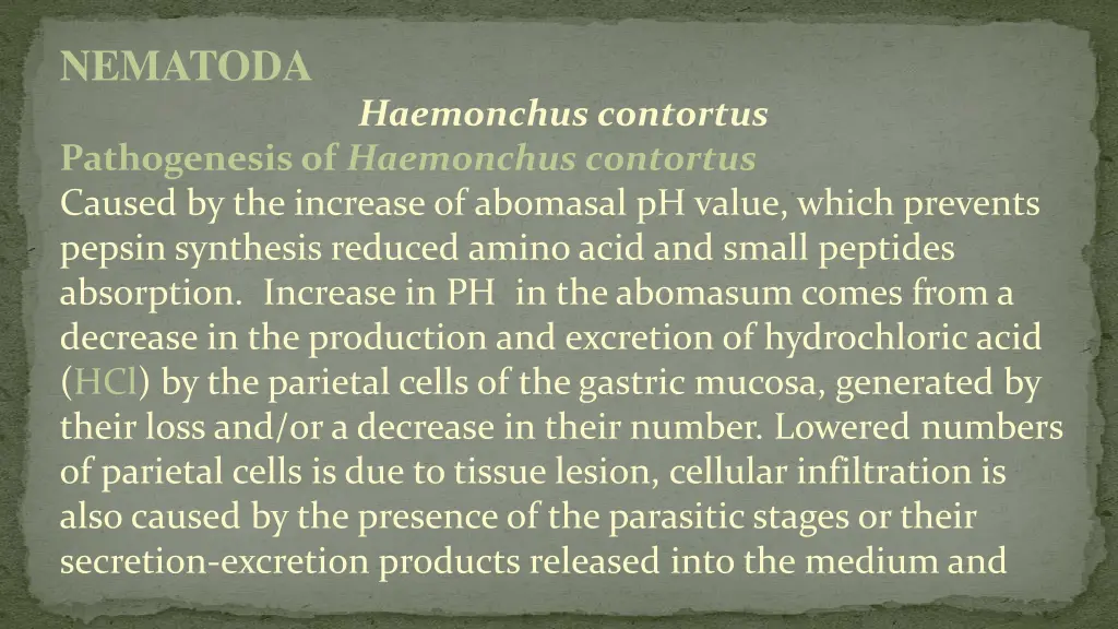 nematoda 2