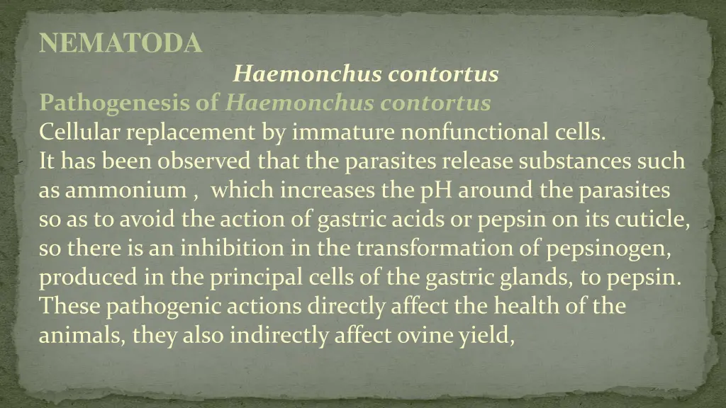 nematoda 3