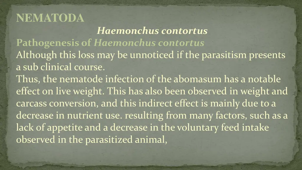 nematoda 4