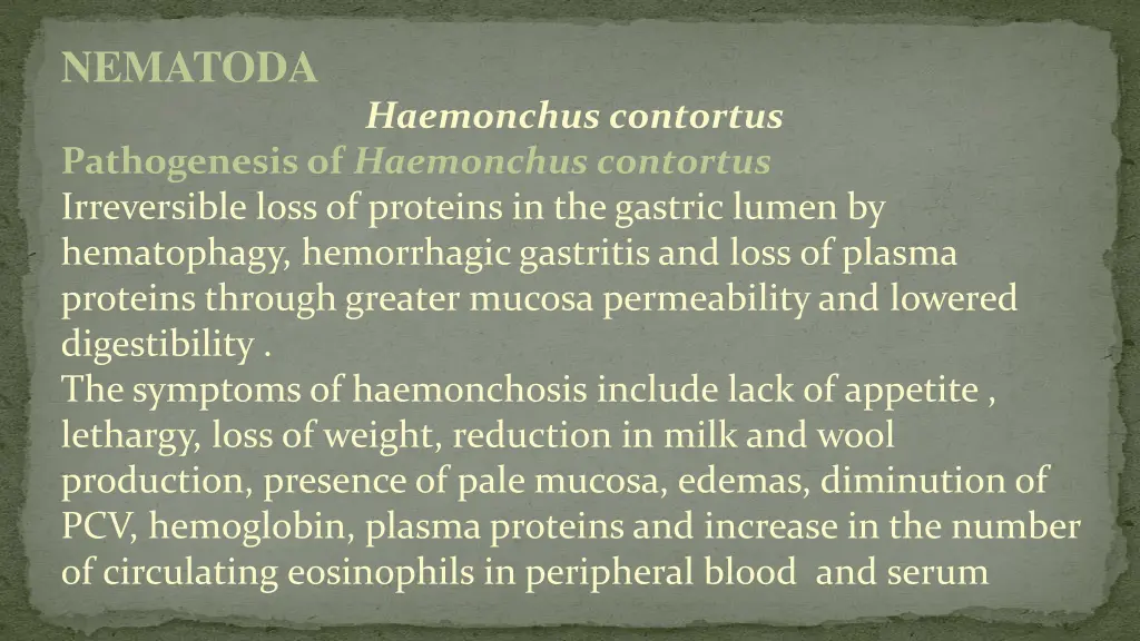 nematoda 5