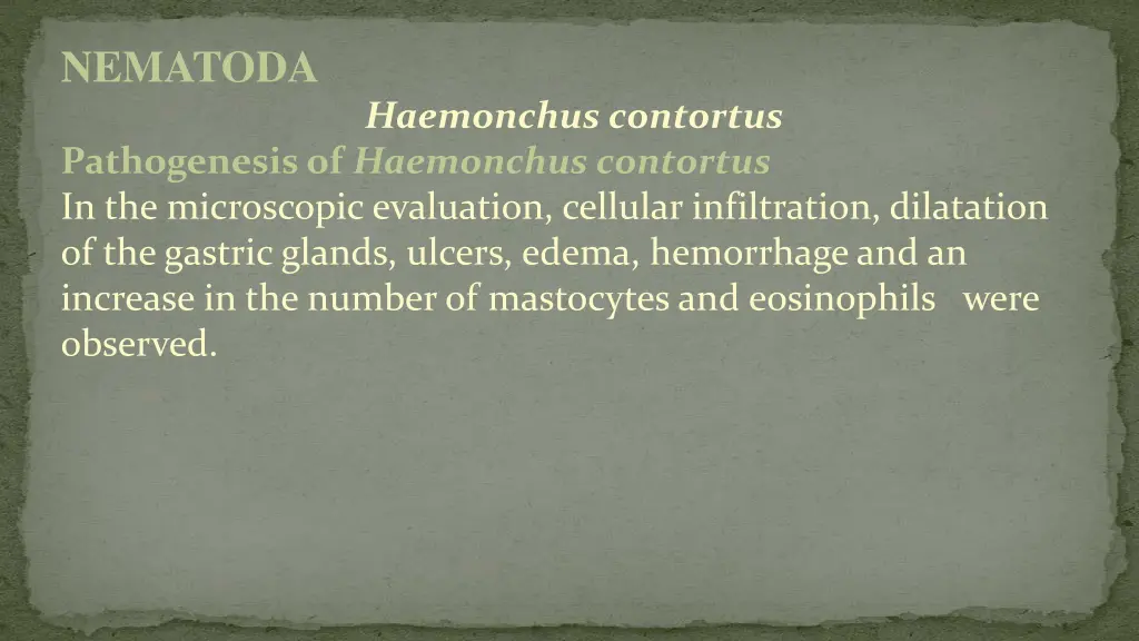 nematoda 7