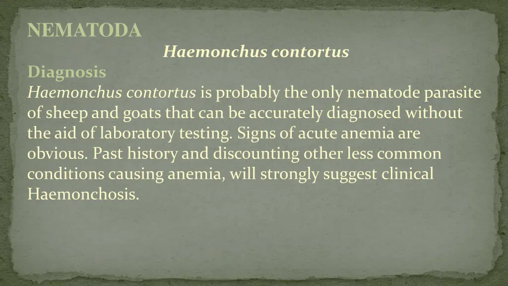 nematoda 8